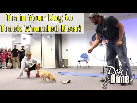 Deer Tracking Dog Seminar