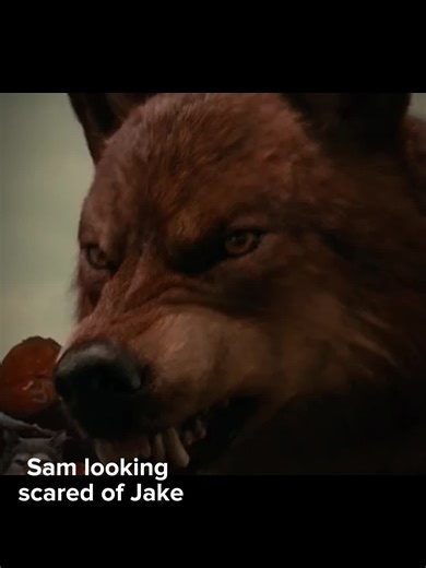 No hate on Sam or anything! I’m just surprised that Sam and Jake don’t actually fight like Jake and Paul did #twilight #wolves #samuley #jacobblack #paullahote #edit #fyppoppppppppppppppppppppppp #foryoupage #fyp