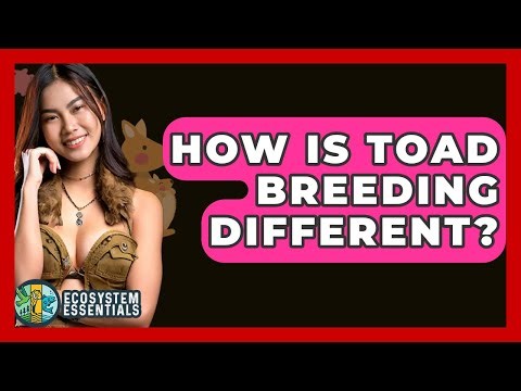 How Is Toad Breeding Different? - Ecosystem Essentials
