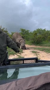 380K views · 6.3K reactions |  1-Month Africa Dream Safari & Beach...