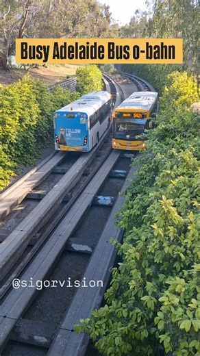 sigorvision on Instagram: "Busy Adelaide Bus O-bahn. Follow @sigorvision #Australia #bus #busobahn #sigorvision #Adelaide #adelaidebusobahn #obahn #publictransport #railway #tracks #guidedbusway #guidedway #busway #sigormusic #adelaidemetro #engineering #notraffic #southaustralia #metro #transportation"