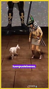 Egyptin lemmikkien ja ihmisten välinen suhde🤔