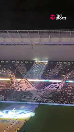 1.9M views · 62K reactions | MOSAICO 3D ABSURDO DA TORCIDA DO CORINTHIANS! Que festa fez a torcida do Timão no pré-jogo! Pega o Gavião, amigo... #CopadoBrasil2022 | TNT Sports Brasil | Facebook