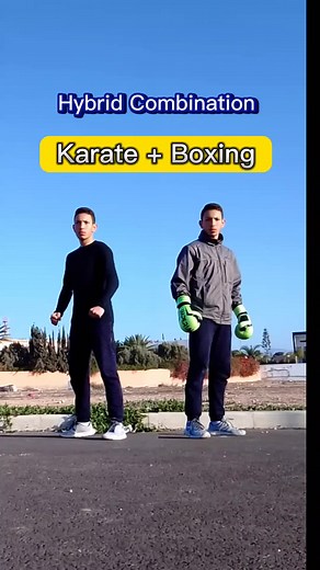 karate Boxing hybrid Combination . . #karate #martialarts #boxing#motivation #youbiramatutorial #viral #fyp