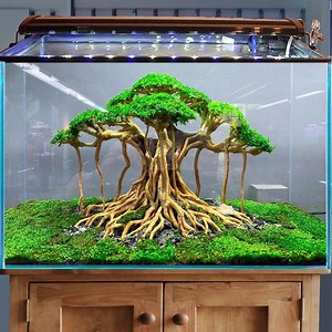 Aquarium Driftwood Bonsai Tree Aquascape Hardscape Wood Fish Tank Plants Unique Gift for Home Decor - Etsy