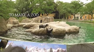 If you've watched the first season of @AnimalPlanet's THE ZOO, you've seen that we have great stories to tell about the animals in our care at the #BronxZoo. This Spring Break, come #InsideTheZoo and hear them firsthand. We've got a host of programs planned to give you the inside scoop. Check them out and plan your trip! http://bronxzoo.com/inside-the-zoo #WeGotThat | Bronx Zoo
