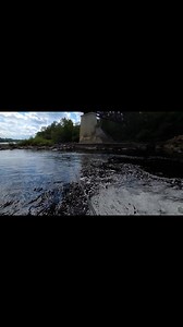 2.5K views · 28 reactions | Fishing under Blanchard Dam, MN! One of...