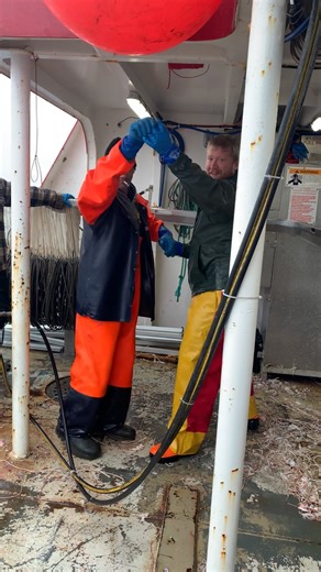 All the fish is making them silly lol | Daniel Morgan