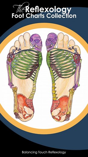 Balancing Touch Reflexology on Instagram: "Step inside the foot! 🦶✨ This first layer of visual reflexology explores the skeletal system, showcasing the foundation that holds us up every day. In this short video, I reveal the artwork behind my reflexology charts, layer by layer, to help you see the foot through a reflexologist's eyes. Stay tuned as we go deeper with each new layer! 🖼️ Artwork by Adam C.O. Thomas 🎶 Music: Risa Ree by Adam C.O. Thomas #VisualReflexology, #FootAnatomy, #Reflexolo