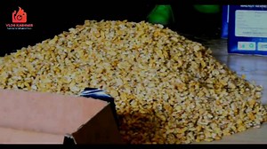 Walnut Kernels Market | Lagama Uri Kashmir is the main contributor to India's walnut production. These walnuts are famous for their taste and superior quality. They are of high demand in local and international markets. Every year, walnuts are packed into cardboard boxes and gunny bags and sent to various parts of the country. Lagama,Uri is very big market of Walnut Kernels, People came here from different parts and sell their walnut Kernels here. ..... for more information check out our full vl