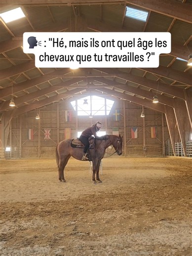 De 6 mois à 21 ans... Finalement, l'âge, c’est juste un chiffre ! Il y a des jeunes chevaux très mûrs 👌 Des plus âgés pleins d’élan 🚀 Et des bébés qui apprennent à leur rythme 🫠 Parce qu’aucun cheval n'est pareil. Parce qu'aucune progression ne se ressemble. Et qu’il faut faire avec leurs histoires, leurs acquis, leurs difficultés 🌿 Alors finalement, peu importe l'âge, travailler un cheval peut prendre plein de formes : découvrir, apprendre, approfondir, reprendre, entretenir... Mais une cho