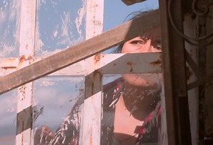 Identifying Features