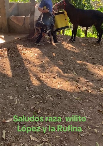 #LIVEIncentiveProgram #NewYearLIVE #PaidPartnership | The Countdown 2026 New Year Event