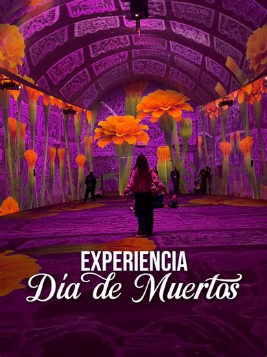 Experiencia Inmersiva de Día de Muertos, Casa de Terror y Realidad Virtual de Terror Todo en Parque Aztlán Feria de Chapultepec #diademuertos #Halloween #terror #plan #octubre