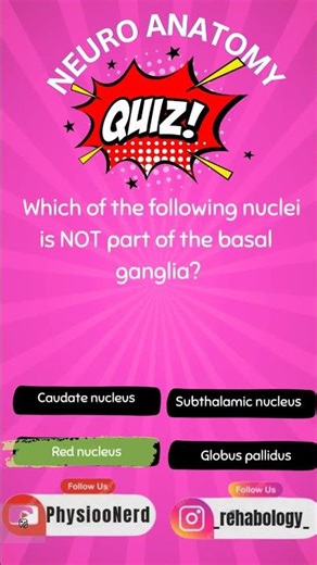 Examiners favourite MCQ on Neuro Anatomy!! 1