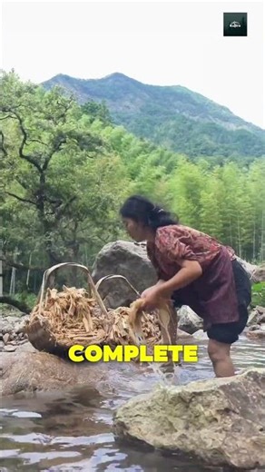 “2,000 Years Ago, This Was How Paper Was Made