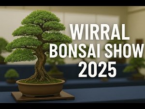 Wirral Bonsai Show 2025 | Stunning Bonsai Exhibition Highlights