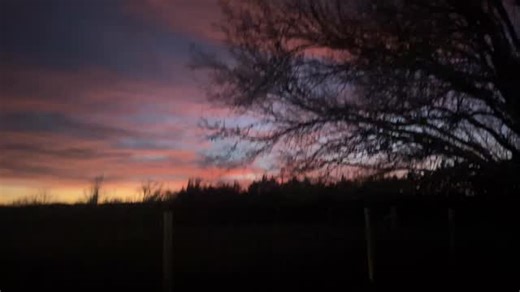 I cut the video short when I realized you couldn’t see Bear 🤷‍♀️ #puppyperfectionist #cavapoo #foundationstraining #cavapoopuppy #bestfamilydog | Puppy Perfectionist