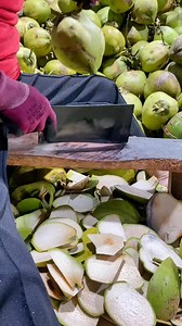 160K views · 549 reactions | Fresh Coconut Cutting skill #reels #coconut #freshcoconut #coconutcutting #coconutwater #coconutpeeling #coconutfarming #freshfruits #fruitcutting #farming #fruitfulharvesting #vegan #viral #trending | Fruitfulharvesting | Facebook
