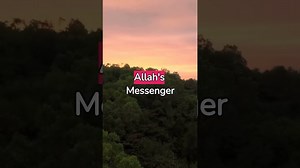 Hadith, Hades, Hadith in English, hadith of prophet Muhammad, ytshorts