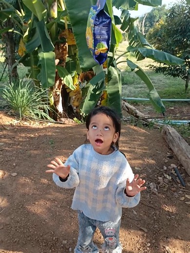 Essential Survival Skills for Camping in the Forest