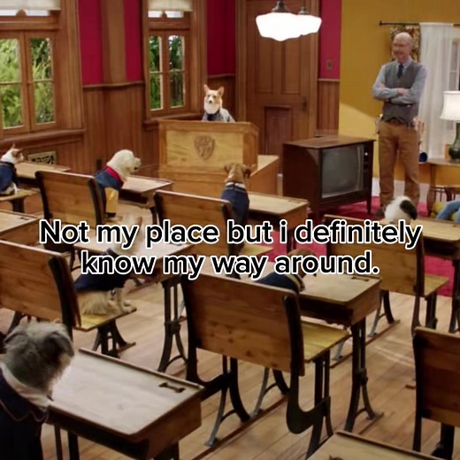Expert Guide to Navigating Pup Academy Online