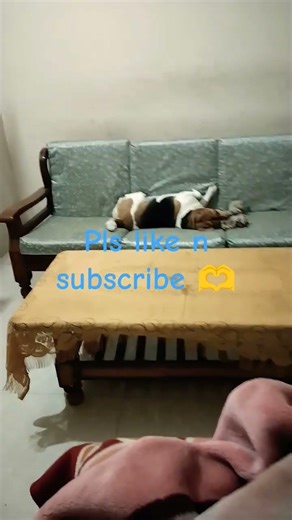 sudden temper tantrums