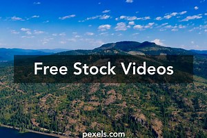 Say Uncle Videos, Download The BEST Free 4k Stock Video Footage & Say Uncle HD Video Clips