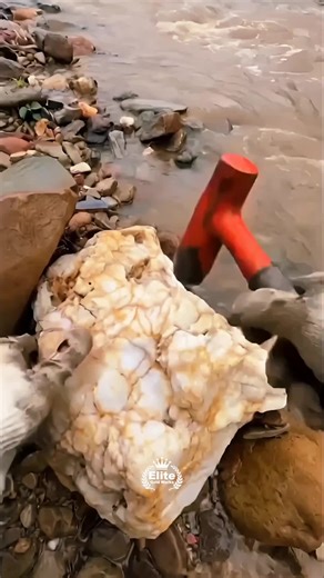 High-Impact ASMR: The Geological Fracture of Gold-Bearing Quartz 🔨✨ In the field of high-end mineralogy, the most significant geological assets are often concealed within the most unassuming formations. Today, we document the technical sequence of liberating a high-purity native gold vein from its primary quartz host through high-tension mechanical fracture. 🏛️🔥 👉 Stay Connected: LIKE and FOLLOW Elite Gold Works for a curated, high-definition archive of mineral extraction, advanced metallurg