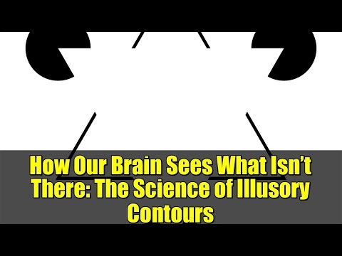 How Our Brain Sees What Isn’t There: The Science of Illusory Contours