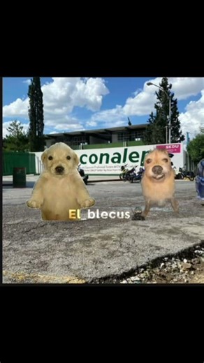 Pedrito se mete en malos pasos | parte 1 #humor