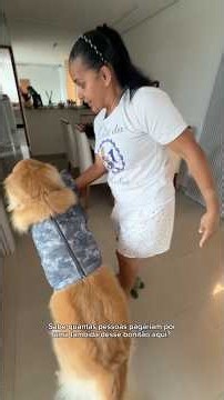 He’s always this desperate for Marga 😂 #fy #fyp #dog #dogs #goldenretriever #dogs