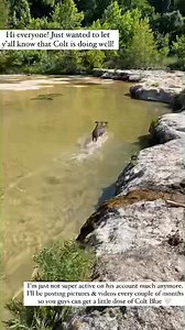 This weekend, we took Colt to the river on the ranch! I was sitting in the river and I hadn’t seen Colt in a few minutes, so I got up to look around and I saw him chasing the little fish in the river! I’d never seen him do that before, it was the cutest thing!! I yelled to Caleb to grab my phone so I could capture it. So enjoy these adorable videos!😍🐟 | Colt Blue
