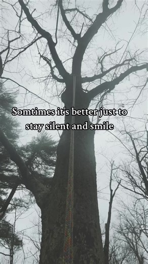 Sam Jenkins on TikTok