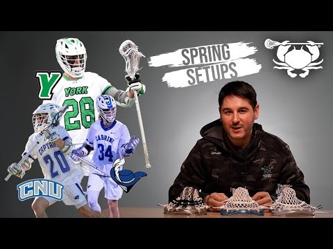 The BEST sticks of D3 | Spring Setups Ep.1