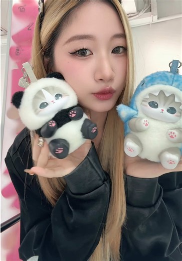 Discover Unique Outfits with Mofusand Blind Box