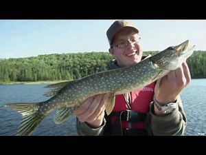Fishing For Northern Pike in Quebec