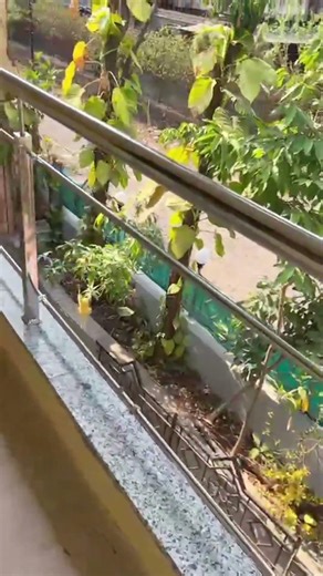 ✨ balcony glass railings frame installation 💫#inox works