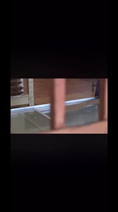 Rip authi e xarp banna 😭Yoh tsatsa o trend’a hohle le YouTube | Kammo Makgabane