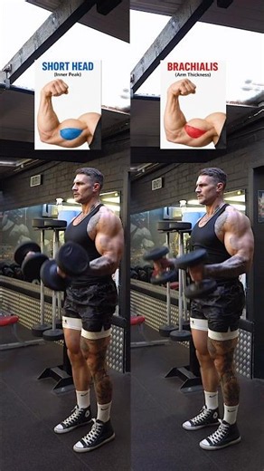 Target your biceps short head, long head & brachialis muscle with these exercises💪#biceps #gym
