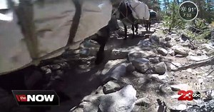 Tori's Trails; Eastern Sierra hiking and camping