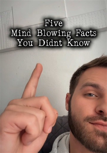 I bet you didn’t know these weird facts… 👀 Wait for the last one… 😳 #factsyoudidntknow #weirdfacts #interestingfacts #DidYouKnow #curiosity