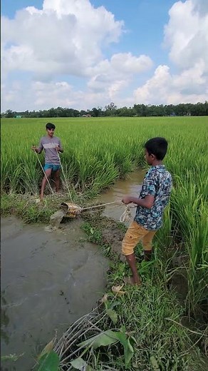 Village Boys Making Smart Water Drainage System #usa