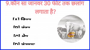 1M views · 18K reactions | Gk Quiz in hindi | general knowledge | Gk questions #gkquizinhindi #generalknowledge #Gkquestions #Gkinhindi | Gk Quiz Dharmveer | Facebook