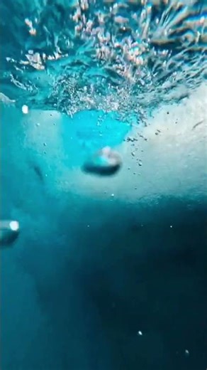 Crystal Clear Icy River Ambience ❄️ Relaxing Nature Sounds for Sleep #shorts