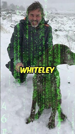 What The Matrix’s Green Code Really Means