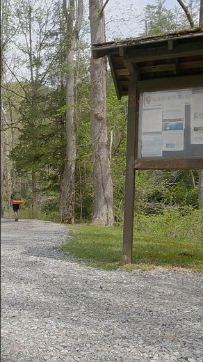 Backcountry camping in the Smoky Mountains | Windy silent hiking next to Abrams Creek in Tennessee