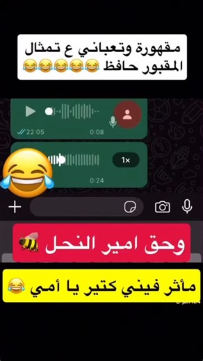 HOSEN88 on Instagram‎: "مقهورة كتير ياعيني ...ميبولو على قبر حافظ"‎