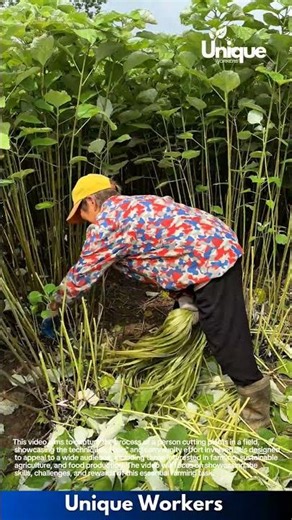 Farming for beginners: a simple guide to plant farming