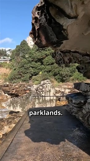 Bondi to Coogee Coastal Walk in Sydney #sydney #bondibeach #newsouthwales #bonditocoogee #coastalwalk | Aquarius Traveller